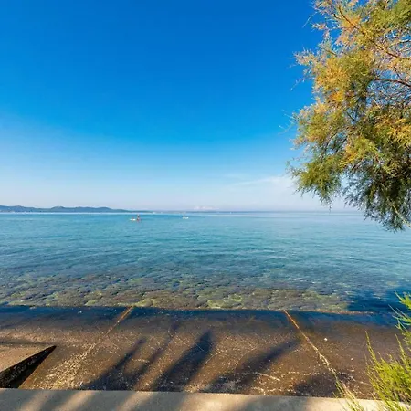 Petkovic Apartamento